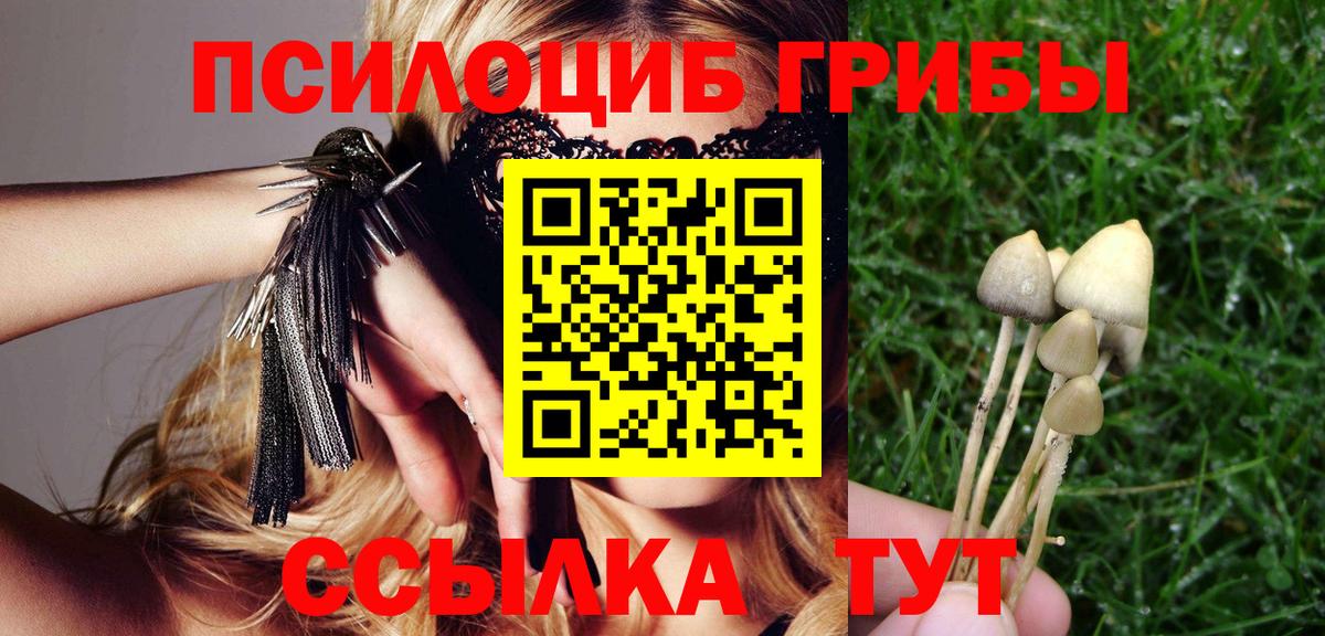 Галлюциногенные грибы Cubensis  Вход с VPN  Краснокамск 