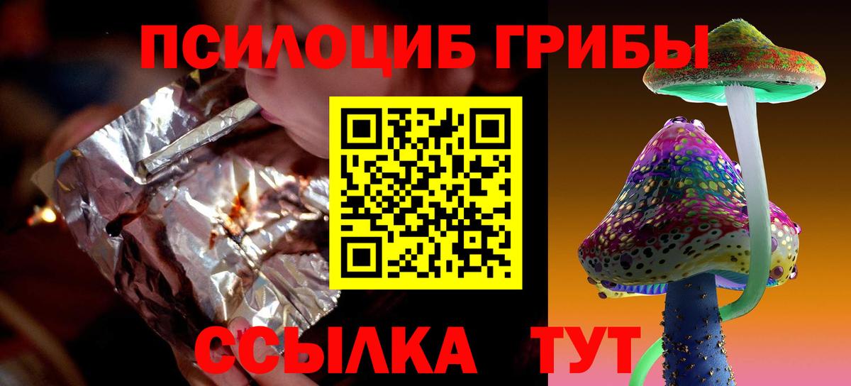 Галлюциногенные грибы Psilocybe Краснокамск